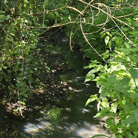Longere Douce Aux Chants Des Oiseaux Villa