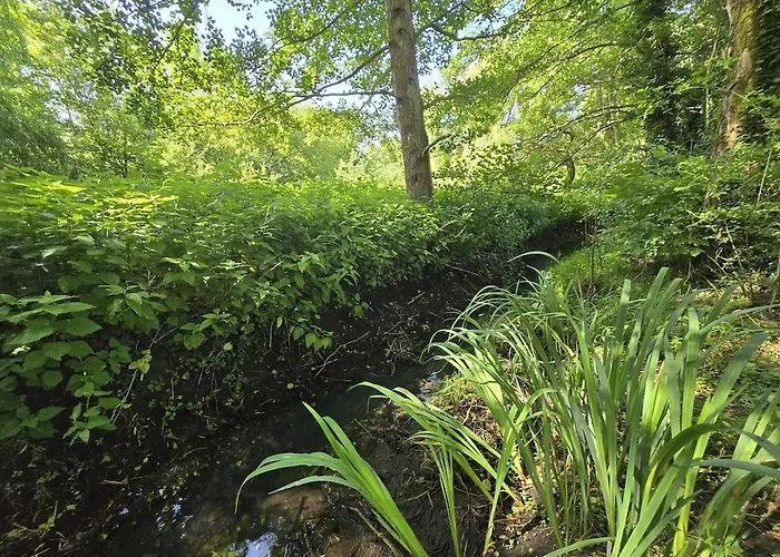 别墅 Longere Douce Aux Chants Des Oiseaux *